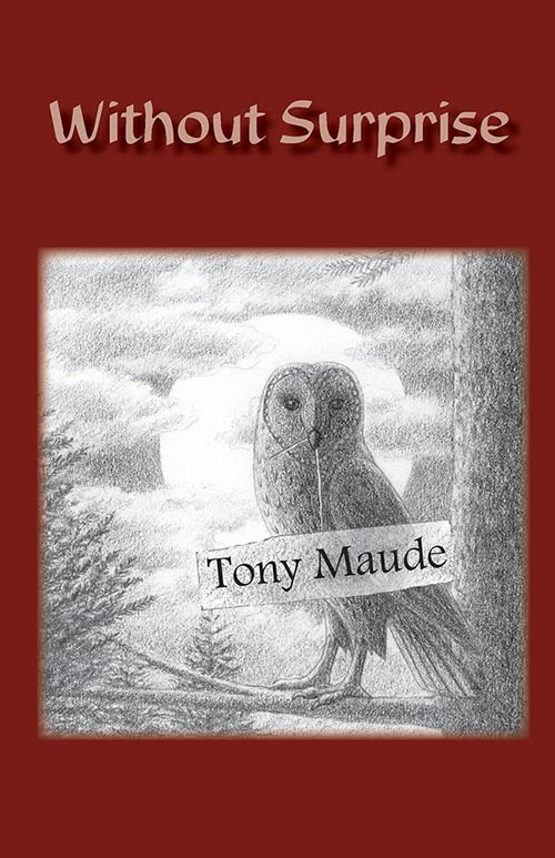 Without Surprise by Tony Maude
